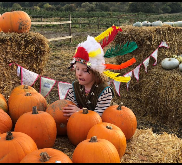 Pumpkins at the Christmas Tree Farm Chesham Bucks Buckinghamshire